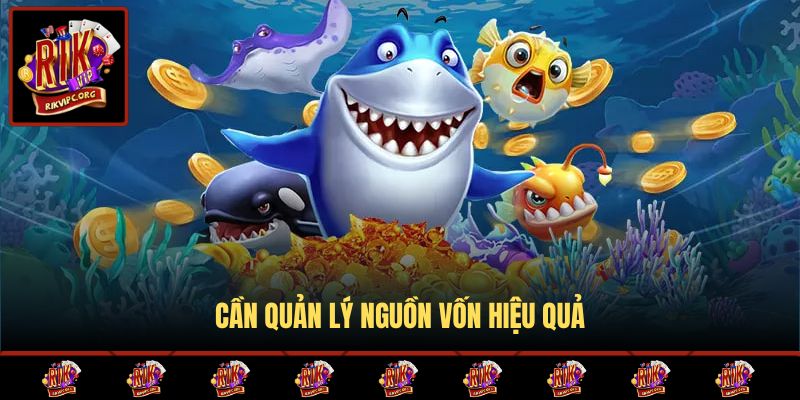 Cần quản lý nguồn vốn hiệu quả